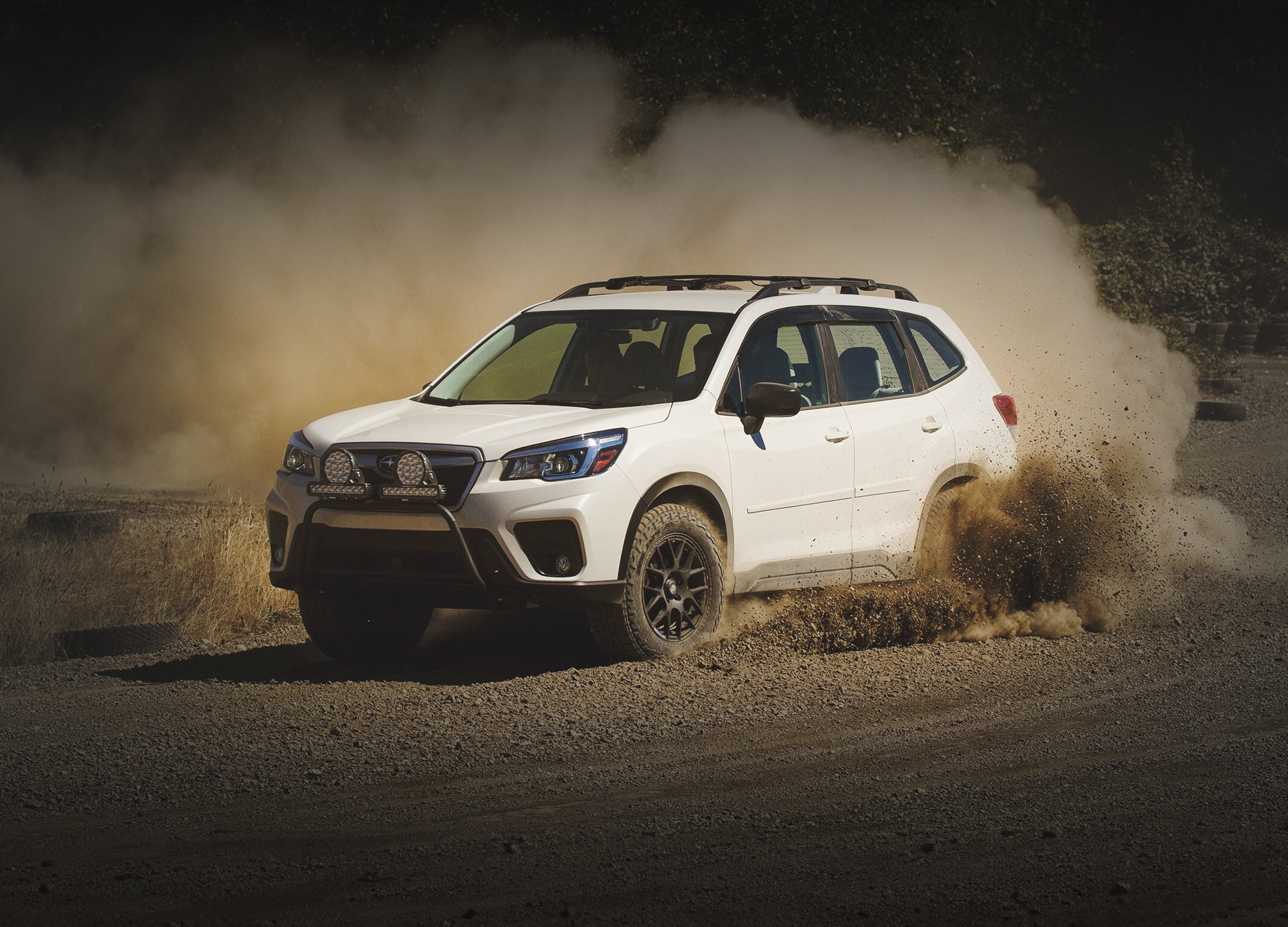 Forester 19-23