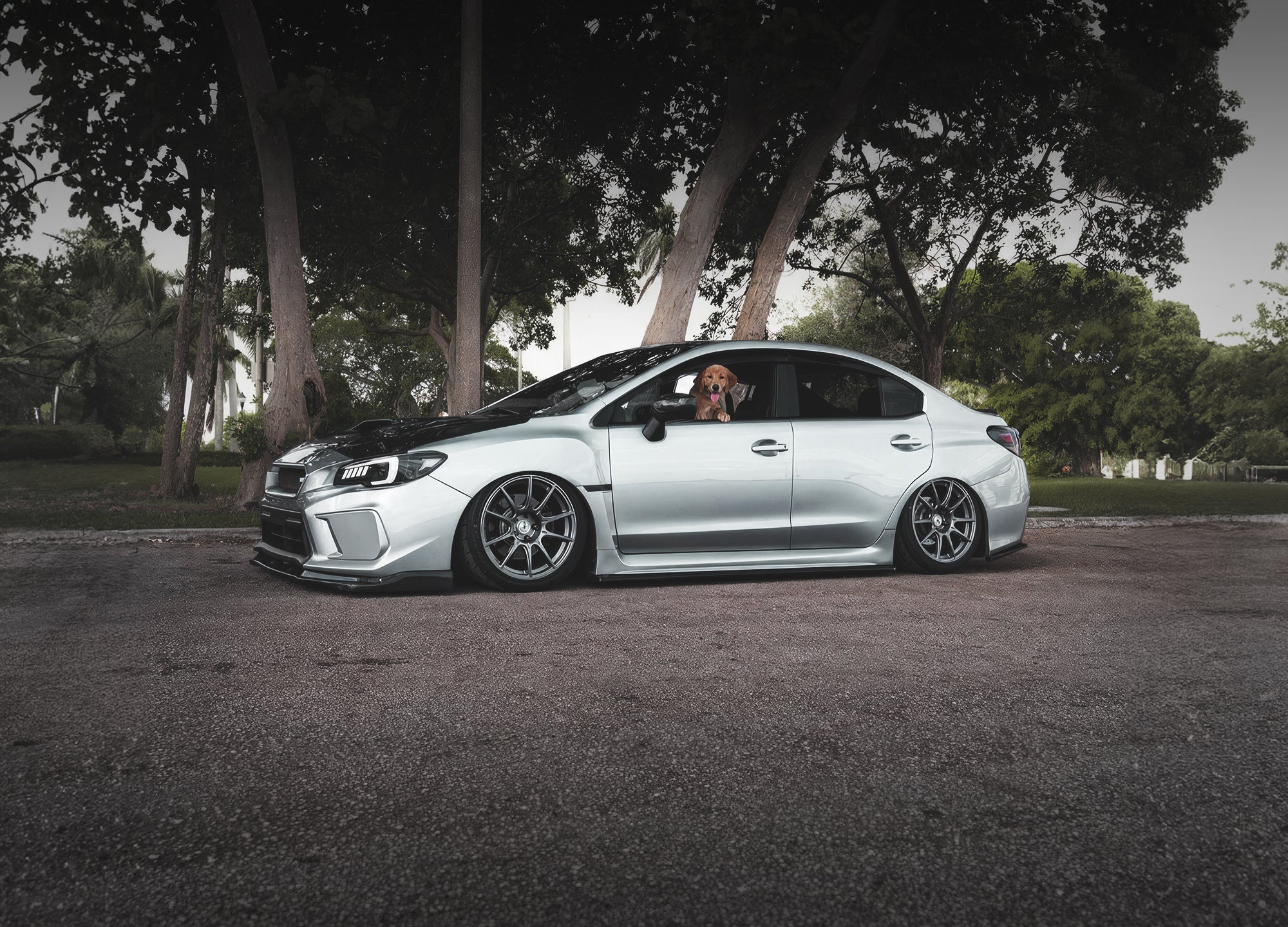 WRX 15-21