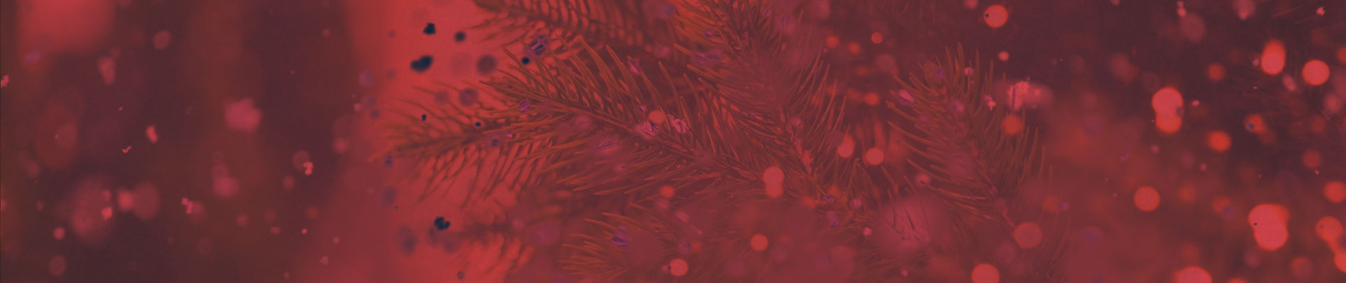 Stocking Stuffer Sale