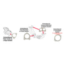 GrimmSpeed Exhaust Gasket Set - 22+ Subaru WRX / FA24-4